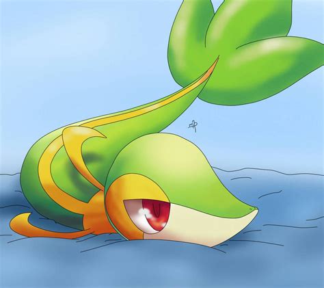 cute snivy|More.